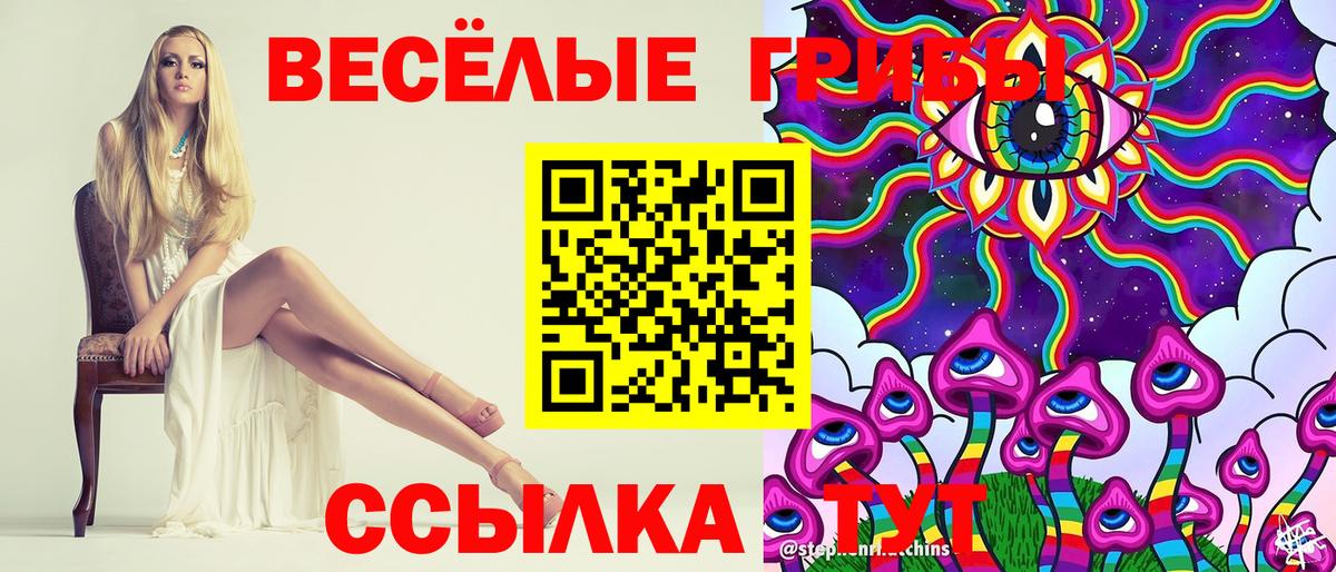 Ставрополь  Псилоцибиновые грибы ЛСД  Вход с VPN 